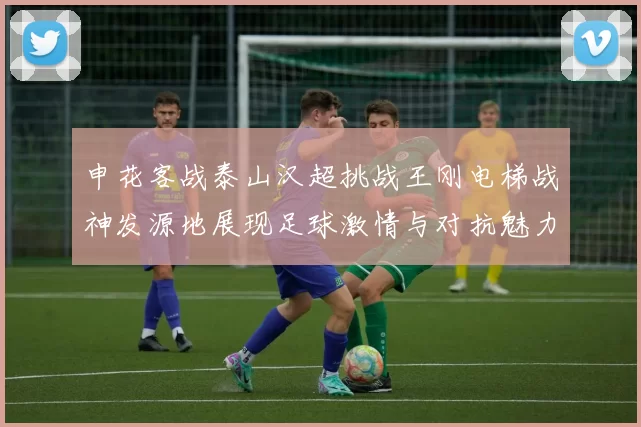 申花客战泰山汉超挑战王刚电梯战神发源地展现足球激情与对抗魅力